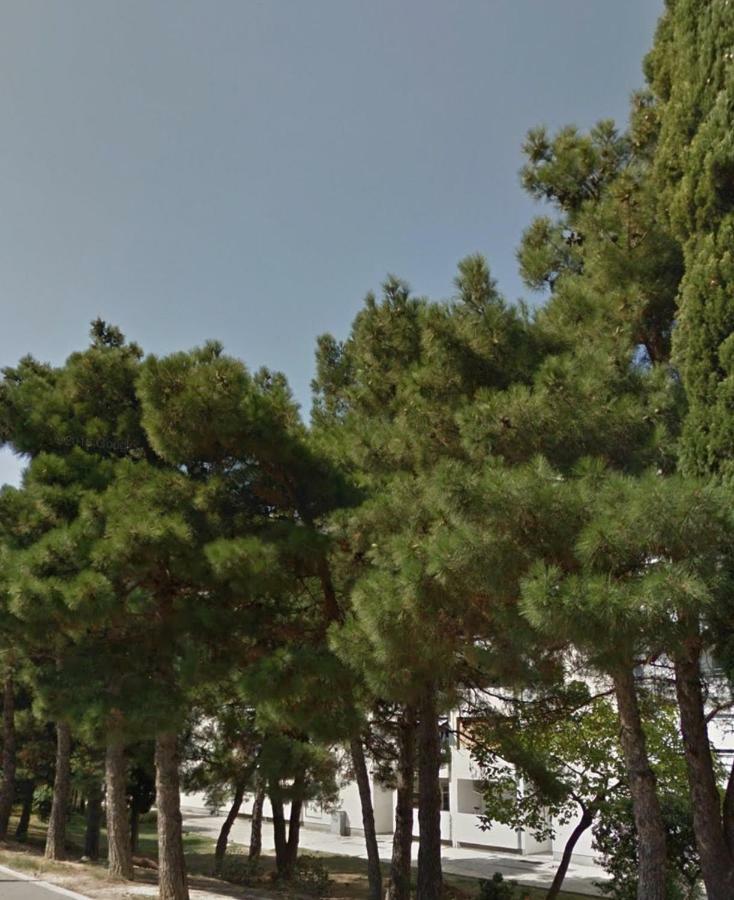 Apartament Mileva Split Zewnętrze zdjęcie
